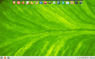 Linux Mint 20.1 modifiziert