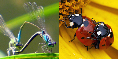 Foto: Leben will Sex!